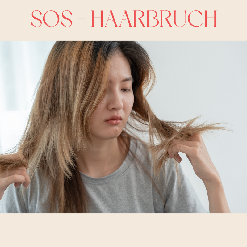 WIE MAN HAARBRUCH IN 7 SCHRITTEN BEKÄMPFT