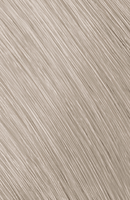 Topchic Zero 10AP Asch Perl / Anti-Gelbstich / Profifarbe ohne Ammoniak