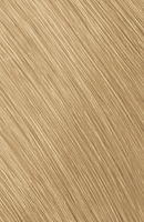 Topchic Zero 10GN Gold Natur / Warmer Ton / Ammoniakfreie Profifarbe