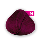 Directions - DARK TULIP 100ml