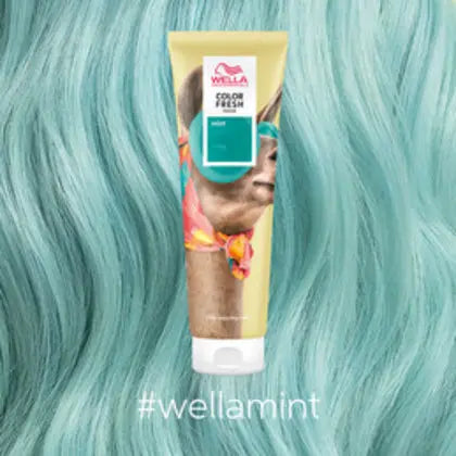 Wella Professionals-Color Fresh Mask Mint 150ml