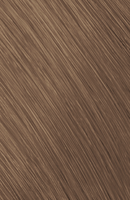 Goldwell Topchic Zero 8-AP Hellblond Asch-Perl