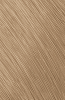Goldwell Topchic 9NP hell-hellblond natur perl