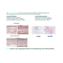 inspira:cosmetics-SKIN ACCENTS FACE MASK PEEL OFF GEL "HYDRO LIFT"