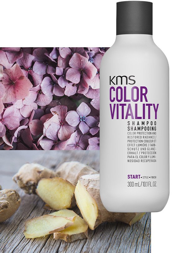 KMS "Start" - COLORVITALITY SHAMPOO