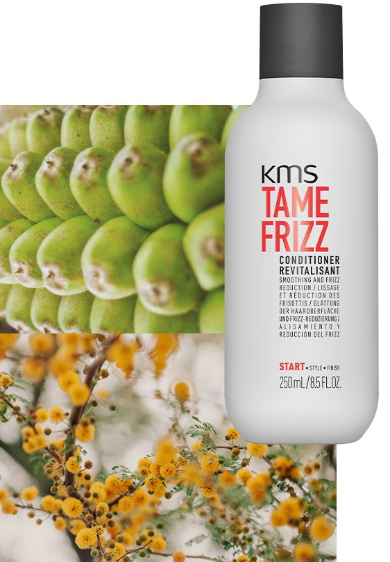 KMS "Start" - TAMEFRIZZ CONDITIONER