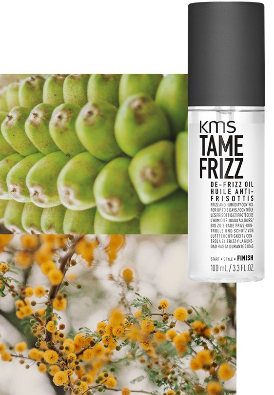 KMS - "FINISH" TAMEFRIZZ DE-FRIZZ OIL 100ml