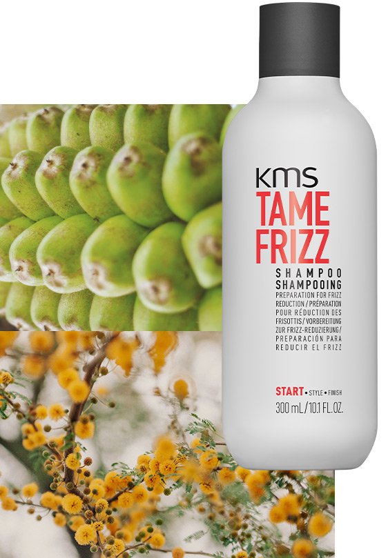 KMS "Start" - TAMEFRIZZ SHAMPOO