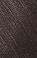 Goldwell Topchic - 6SB silber braun