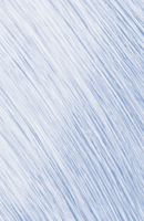 Goldwell Topchic - Blonding-Cream Ash